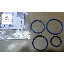 Peugeot Yağ Filtre Gövde Contasi 206-307-FOCUS DW10TD 2S6Q6A646AA/