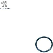 Su Hortum Contasi Peugeot 1319.N4