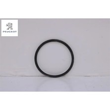 Peugeot Mazot Pompa Contasi 3008-5008-EXPERT Traveller DW10FD