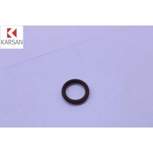 O-Ring  J10 Premier Maxi Karsan K100170