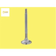 Supap Tk. 206 1.4 TU3JP Güneş  0948.58/ 0949.59   4412-4413