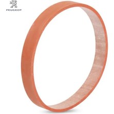 Conta Peugeot 9678390480