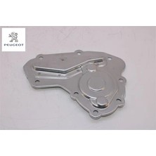 Şanziman Arka Kapak Boxer Iii Peugeot  2207.A9    9818171180