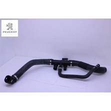 Radyatör Alt Hortumu Boxer/jumper Iii Peugeot  1349150080   Peugeot, Cıtroen, Fıat 1351.PK