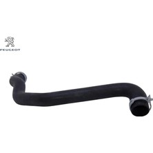 Peugeot Radyatör Alt Hortumu 308-3008-5008-PARTNER Tepee