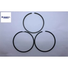 Segman 85MM Std  Partner DW10TD Federal Mogul  0640.Q8   61147000G