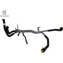 Soğutma Sivi Pompa Peugeot 1694712280