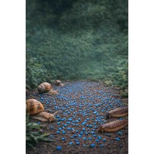 Salgokill Bahçe Salyangoz Sümüklü Böcek Sülük Kovucu Granül 0.5kg