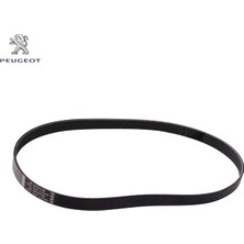 Peugeot Alternatör Kayişi 6 Pk 1020 407-508-PARTNER TU5JP