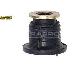 Motor Beşik Burcu Clıo-Kango-Megane 7700779772 Rapro R55215