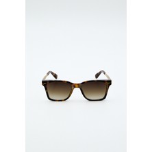 Tyn Store Nexor Kadın Güneş Gözlüğü Kahverengi Degrade Cam Leopar Desenli Çerçeve UV400 Koruma