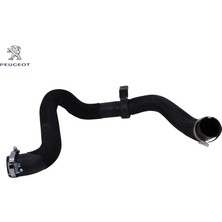 Peugeot Turbo Radyatör Hortumu Expert Iv Traveller