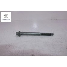 Peugeot Enjektör Civatasi (10 Pakettir)   208-308-301-508-3008-5008-EXPERT-PARTNER- 9808982780