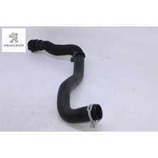 Peugeot Radyatör Alt Hortum  301-CELYSEE Dv5 1.5 Dizel