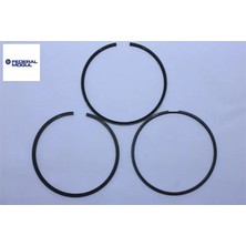 Federal Mogul Segman STD.75,00MM  301-308-PARTNER Tepee 1.6hdi 1607373780/ 0640.W5/ 039RS0011