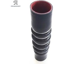 Turbo Hava Hortumu 508 C5 X7 DV6C 1.6 Hdi Peugeot  0382.PW    9803399880