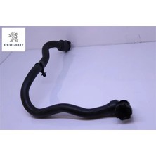 Su Hortumu Expert 2.0 Hdi DW10FE Peugeot 9805905480