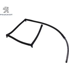 Peugeot Enjektör Geri Dönüş Hortumu 206/307 1.4hdi 1574.N8