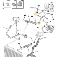 Su Hortum Vidası   Peugeot 1342.10