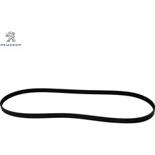 Peugeot Alternatör Kayişi 6 Pk 1603  306-406 16V Klimali