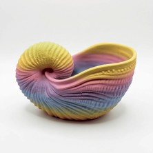 Atatuğ Hediyelik Gökkuşağı Renkli Deniz Kabuğu Tasarımlı Dekoratif Kase ve Takılık