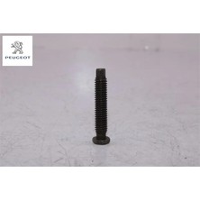 Külbütör Vidasi Peugeot    0908.21