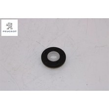 Eksantrik Dişli Keçesi 3008 DV5RC Peugeot 9823920080