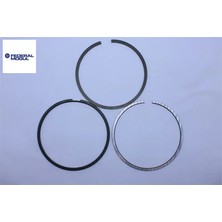 Segman  206  1.6 16V  TU5JP4 Federal Mogul 68892000G