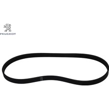 Peugeot Alternatör Kayişi 6 Pk 1067 306-406-EXPERT Xu7