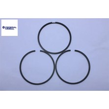 Segman Std. 73,70 mm    206 Dv4 Federal Mogul  0640.R8/ 0640.V9   61353000G