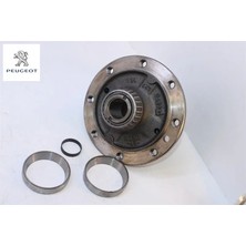 Peugeot Marhuti Govdesi                        Prt