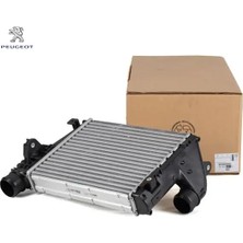 Peugeot Interkol Radyatör Expert 4 DW10FE 2.0 Hdi