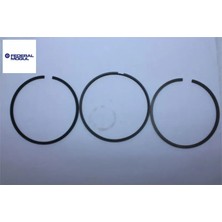 Federal Mogul Segman 88,00MM+0,40    Ducato Iii-Daily-Jest Euro5 500055512