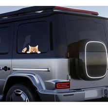 Arabadan Dışarı Bakan Sarman Kedi Stickerı