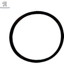 Vites Çatal Oringi Peugeot 2538.13