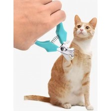 Pileli Store Pilelistore Yaylı Kedi ve Küçük Irk Köpek Tırnak Makası