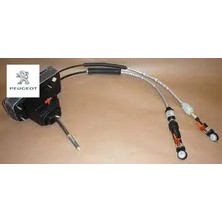 Vites Kumanda Kolu 407 C5 Ii Peugeot  2444.CJ   9800977680