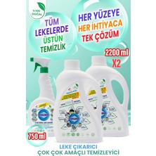 Rindamor %100 Doğal Bitkisel Çok Çok Amaçlı Konsantre Temizleyici ve Leke Çıkarıcı 3’lü Set