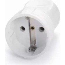 Dişi Fiş Topraklı