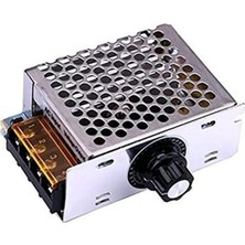 Regülatör Ac 220V 4000W – Dimmer Koruma Kasalı