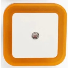 Cata Neselio 2 Adet Sensörlü Fişli Gece Lambası Led-4 RENK-FOTOSELLI-1W CT-9500
