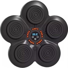 Delixa Müzikli Boks Padi