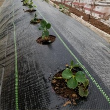 Sera Taban Örtüsü - Siyah Renk Jüt Taban - 90 Gram/m2 - Yabani Ot Engelleme Örtüsü - 1,5 M x 1 M