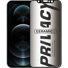 Bukrem Store Apple Uyumlu   iPhone 12 Pro Hayalet Ekran Koruyucu Mat Seramik Hayalet (547777630)