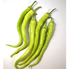 Delixa Yerli Tatlı Yalova Çorbacı Biber Tohumu 200 Tohum Yeşil Sarı Biber Tohumu +Süpriz Sebze Tohumu