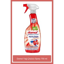 Domol Power Ultra Kokusuz Yağ Çözücü Sprey 750 ml - Hızlı ve Derinlemesine Temizlik, İnatçı Yağ ve Kir Lekelerini Kolayca Ortadan Kaldırır