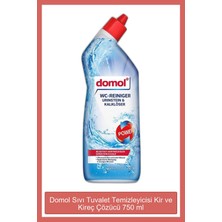 Domol Tuvalet Temizleyici 750 ml Kireç ve Kir Çözücü