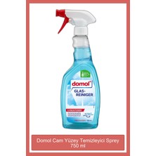 Domol Yüzey Temizleyici 750 ml Cam Sprey