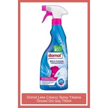 Domol Leke Çıkarıcı Sprey Yıkama Öncesi Oxi Güç 750 ml