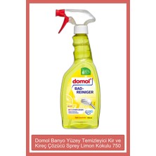 Domol Yüzey Temizleyici 750 ml Banyo Sprey Kireç Çözücü